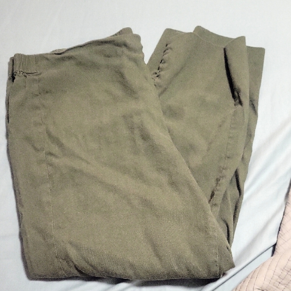 J. Jill Green Stretch Linen Pants